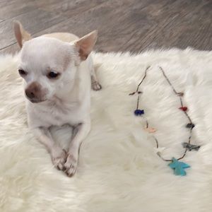 Animals Stone Necklace